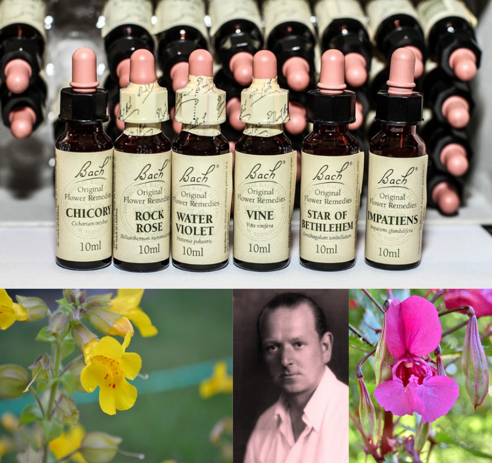 0 Immagine per WhatsApp OK.png