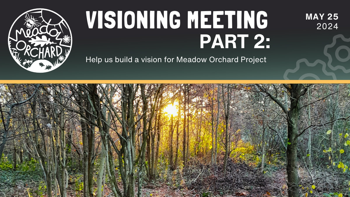 Visioning Meeting - Part 2