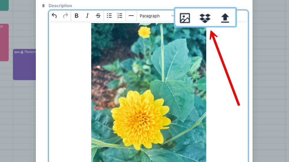 250728tu-insert or upload image options.png
