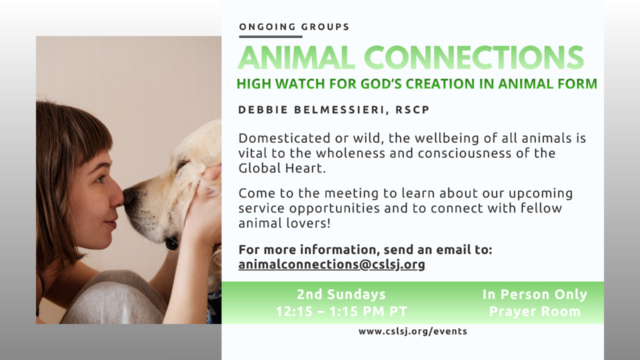Animal Connections