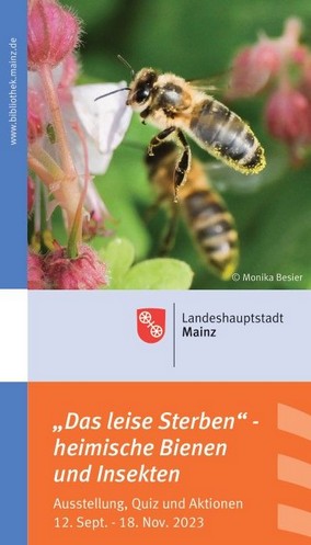 231118-bienen.jpg