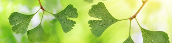 Spoken Word 4-1.jpeg