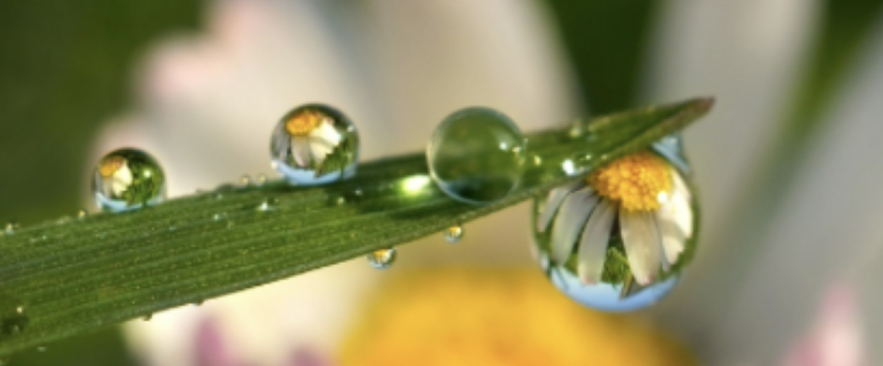 Screenshot 2024-01-16 at 8.46.27 PM.png