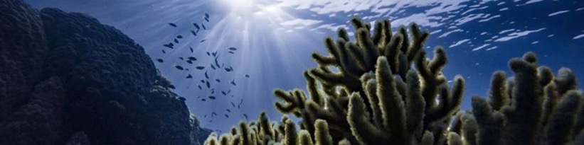 Deep Relating 4-1 (1).jpeg