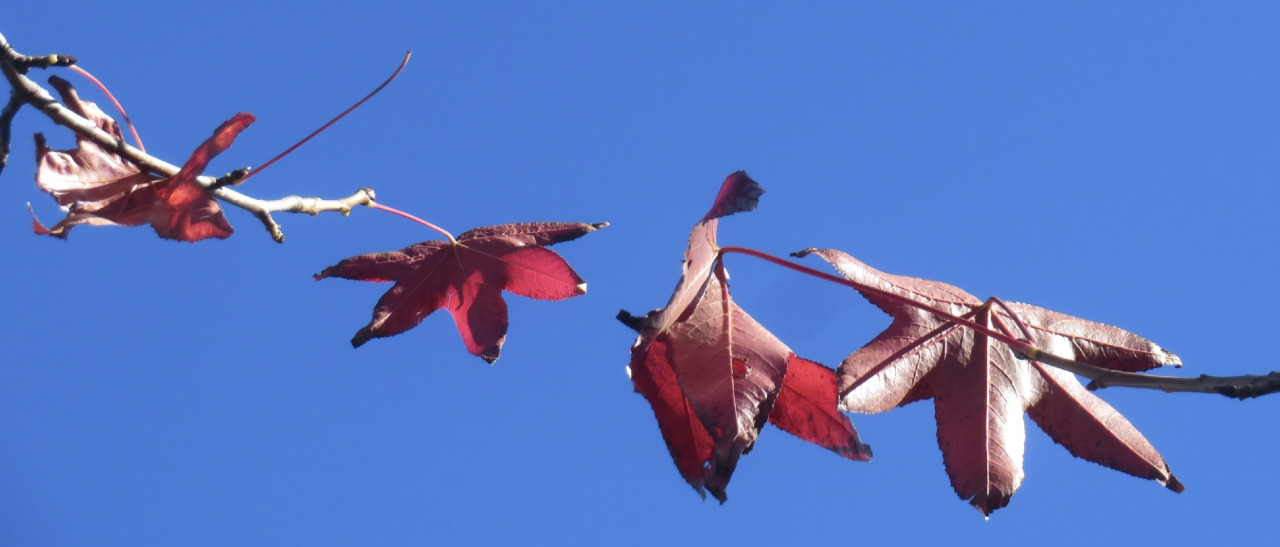 Screenshot 2025-11-22 at 10.05.16 PM.png