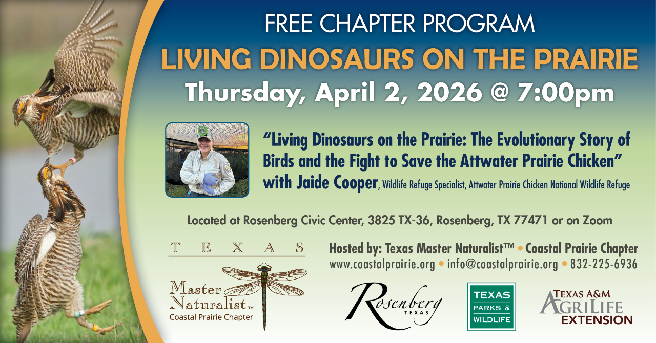 LDotP 1092x1005 Event Graphic.jpg