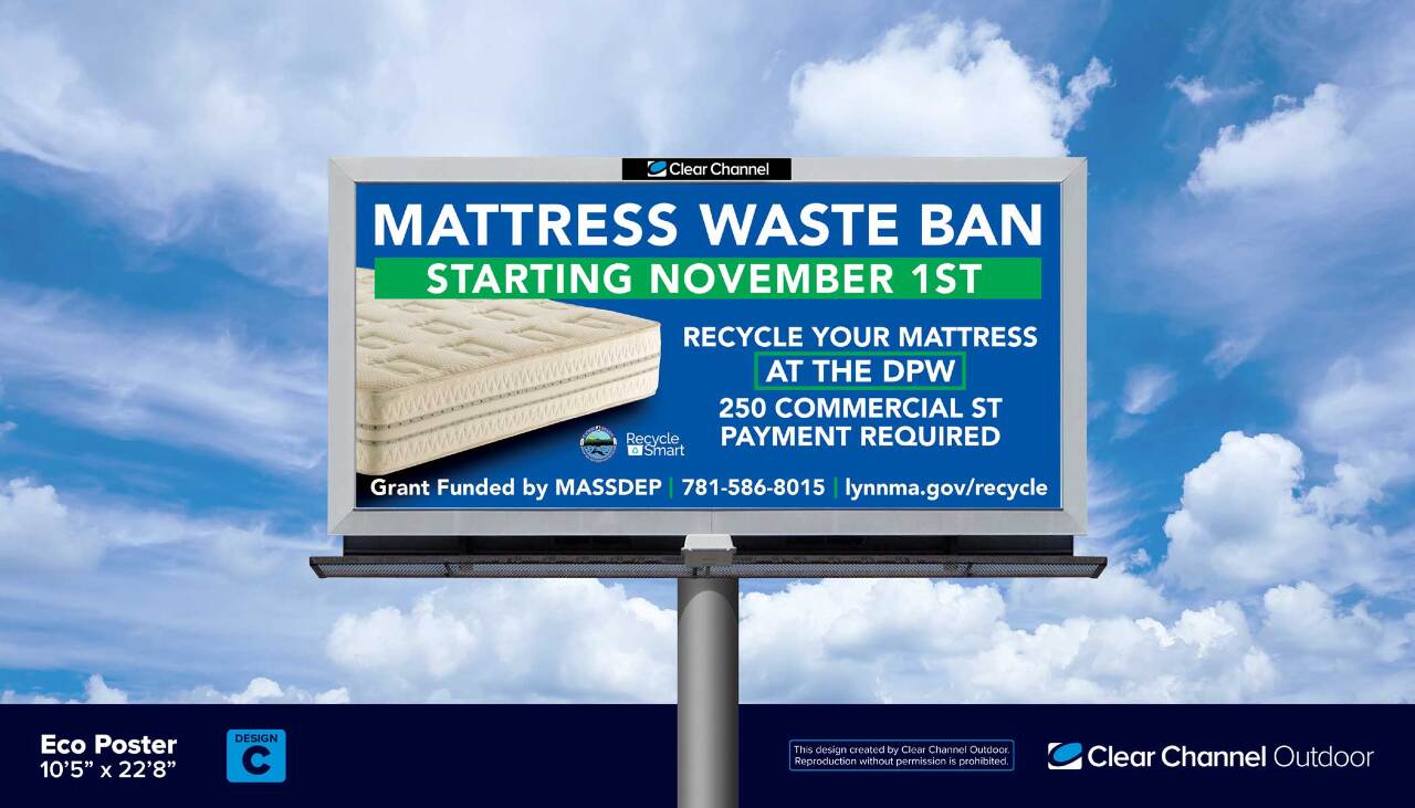 lynn_eco_poster_2022.jpg